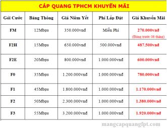 Lắp đặt cáp quang VNPT TPHCM